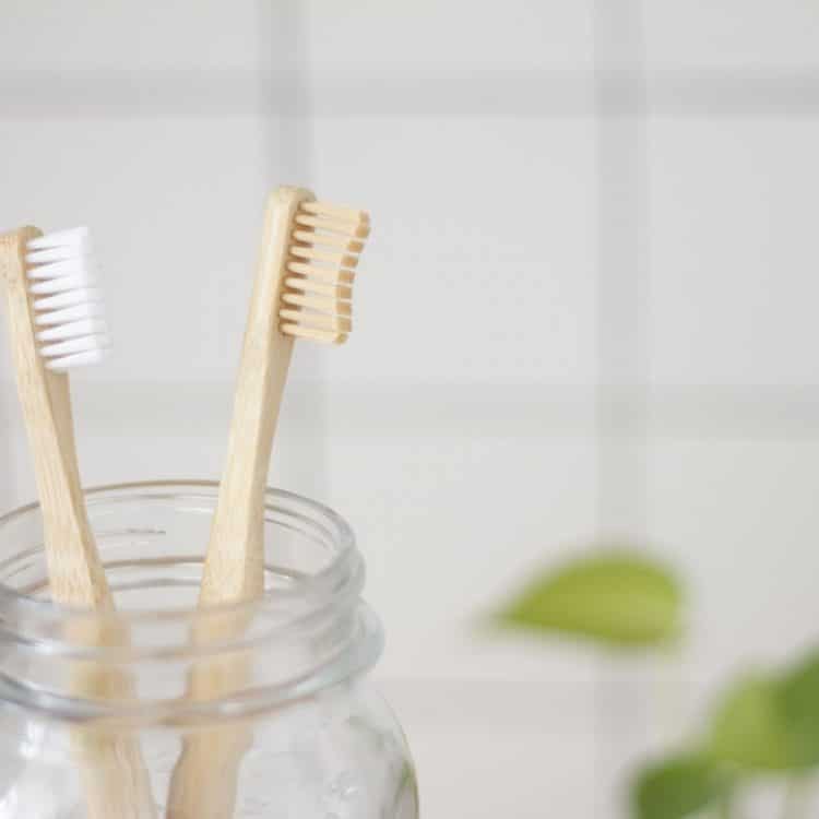 preventative dentistry - tooth brushes in a jar