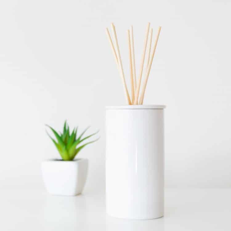Teeth Whitening Dentist - Home diffuser and potted plant