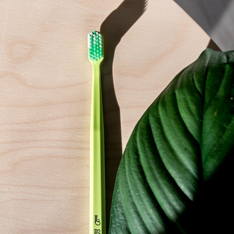 Oral Hygiene - tooth brush and green leaf